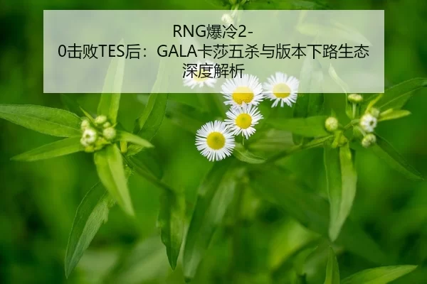 bao-leng-ji-bai-hou-ka-sha-wu-sha-yu-ban-ben-xia-lu-sheng-tai-shen-du-jie-xi-2-165.jpg