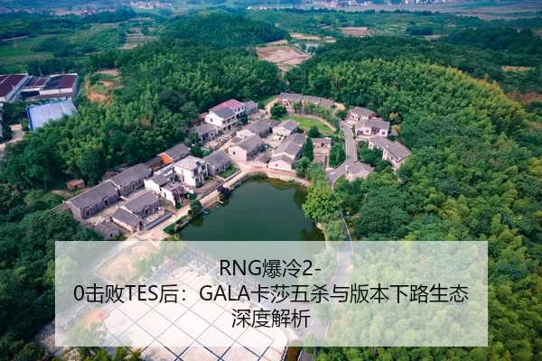 RNG爆冷2-0击败TES后：GALA卡莎五杀与版本下路生态深度解析
