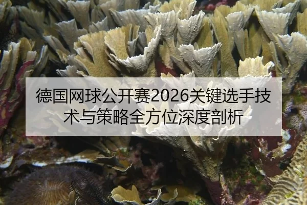 德国网球公开赛2026关键选手技术与策略全方位深度剖析