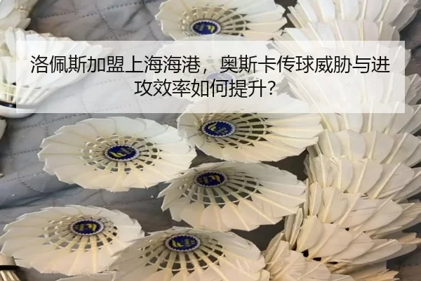 luo-pei-si-jia-meng-shang-hai-hai-gang-ao-si-ka-chuan-qiu-wei-xie-yu-jin-gong-xiao-lv-ru-he-ti-sheng-3-284.jpg